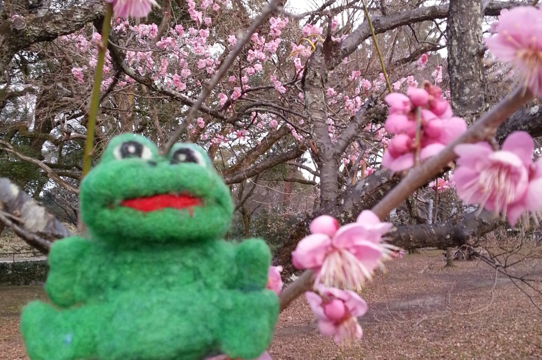 Why I quit my day&nbsp;job…